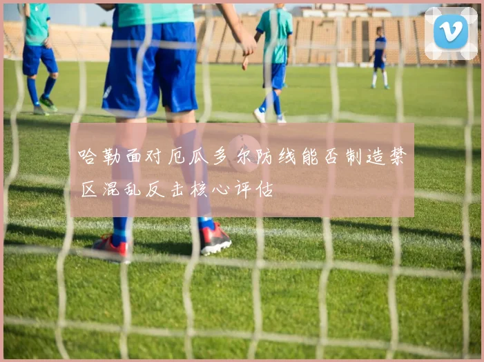 哈勒面对厄瓜多尔防线能否制造禁区混乱反击核心评估