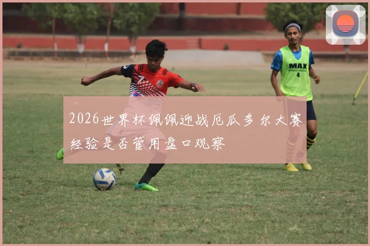 2026世界杯佩佩迎战厄瓜多尔大赛经验是否管用盘口观察