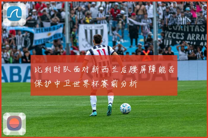 比利时队面对新西兰后腰屏障能否保护中卫世界杯赛前分析