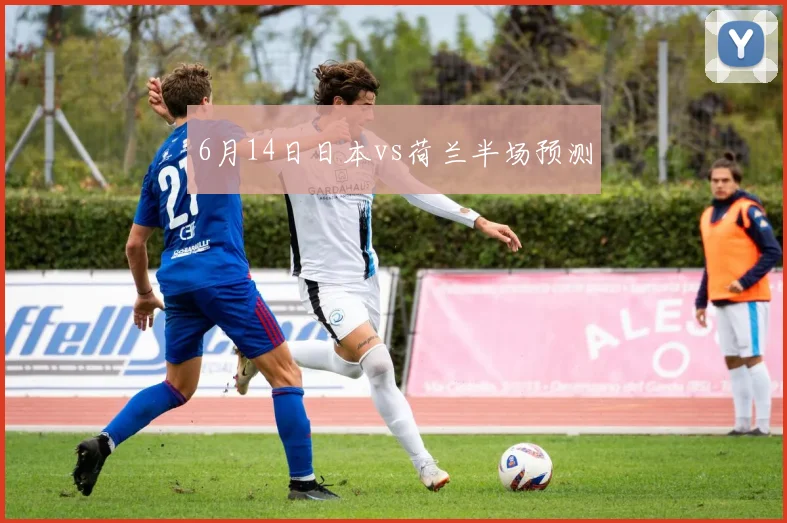6月14日日本vs荷兰半场预测