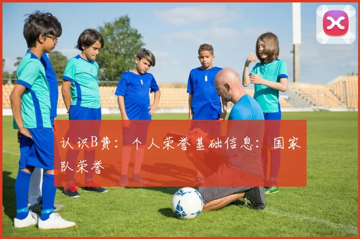 认识B费：个人荣誉基础信息：国家队荣誉