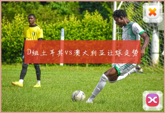 D组土耳其vs澳大利亚让球走势